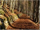 Podbrdo - Planina Za Črno goro